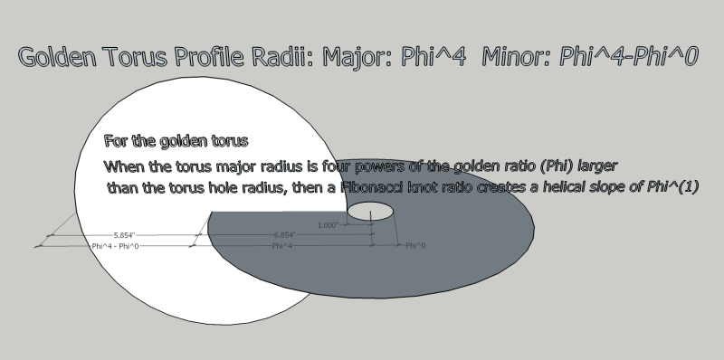 File:Golden torus profile.png